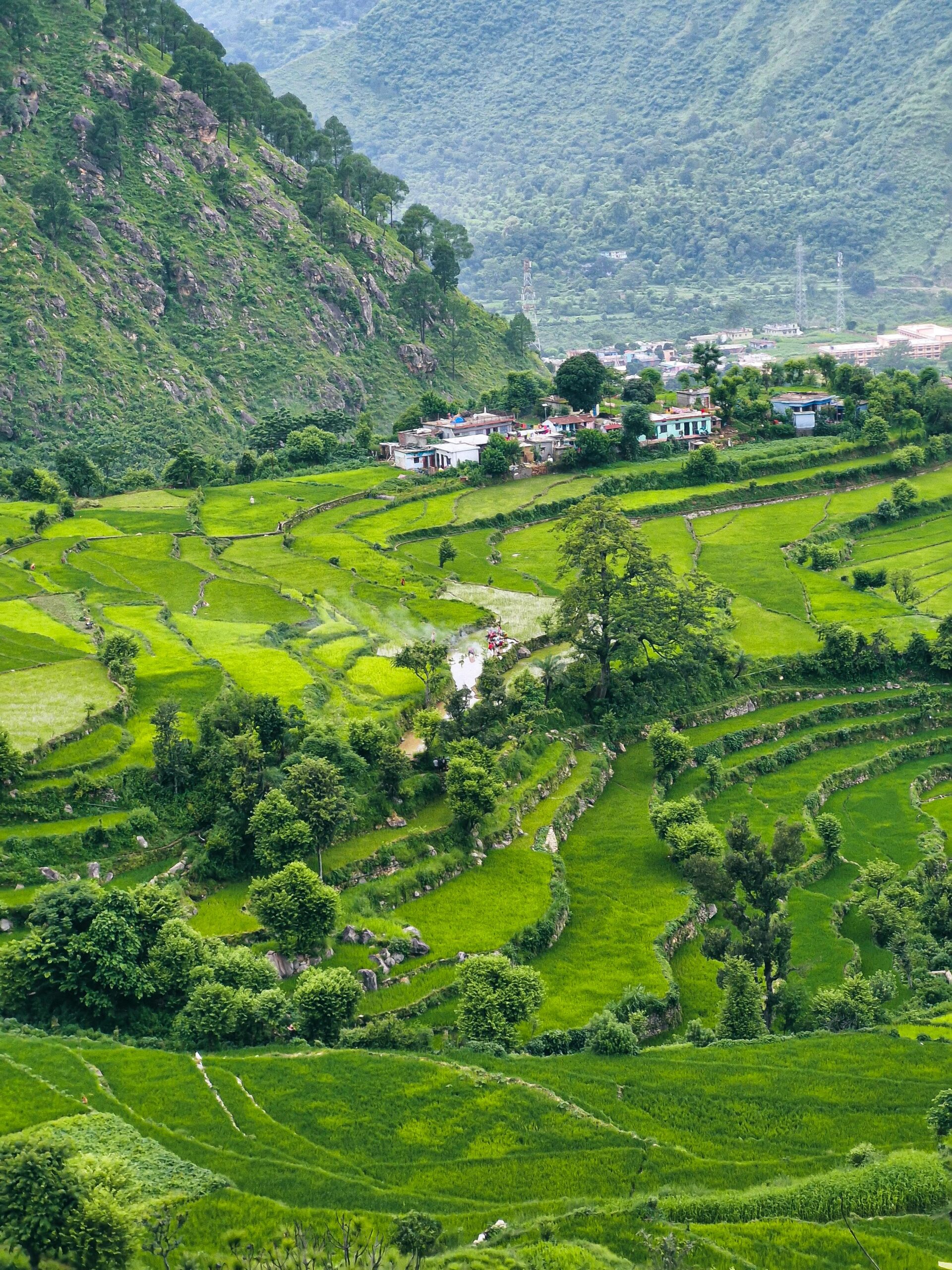 Peaceful terraced fields and village in Uttarakhand's scenic mountain landscape.